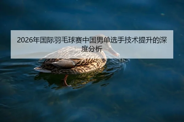 2026年国际羽毛球赛中国男单选手技术提升的深度分析