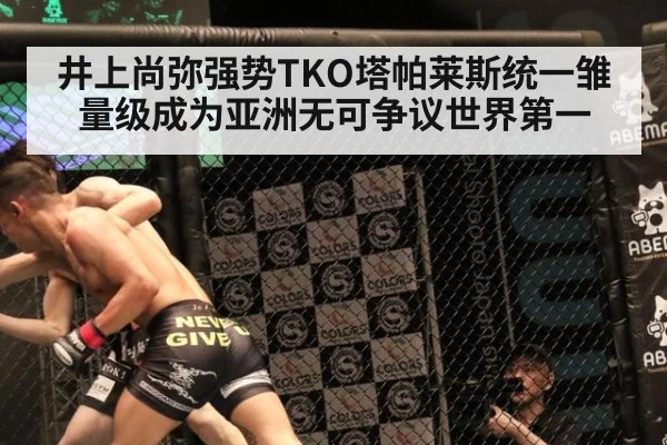 井上尚弥强势TKO塔帕莱斯统一雏量级成为亚洲无可争议世界第一