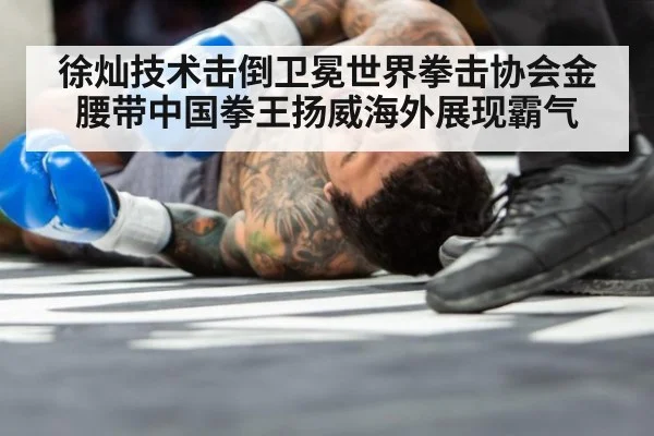 徐灿技术击倒卫冕世界拳击协会金腰带中国拳王扬威海外展现霸气